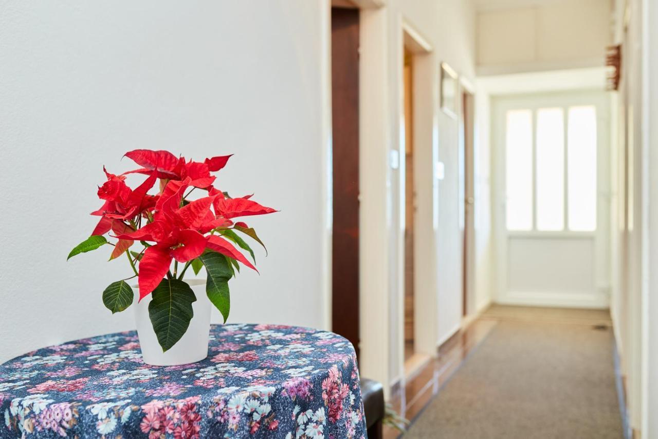 דוברובניק Guest House Medzalin מראה חיצוני תמונה